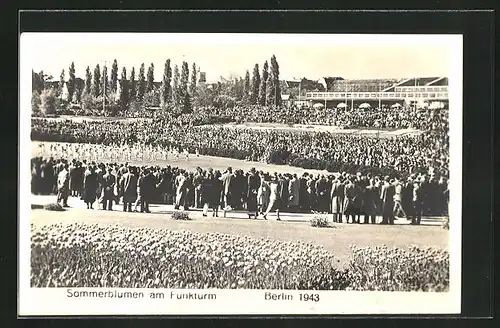AK Berlin-Charlottenburg, Sommerblumen am Funkturm 1943
