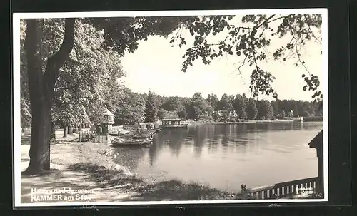 AK Hammer Am See / Hamr Na Jezere, Seepartie mit Ruderbooten