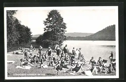 AK Hammer Am See / Hamr Na Jezere, Badegäste im Strandbad