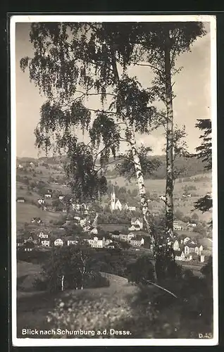 AK Schumburg a. d. Desse, Panoramablick auf das Dorf
