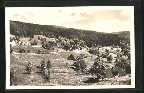 AK Dolni Polubny, Jizerské hory, Teilansicht vom Dorf