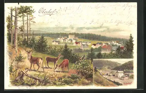 Künstler-AK Oberhof, Bahnhof, Teilansicht mit Hirsch und Rehen