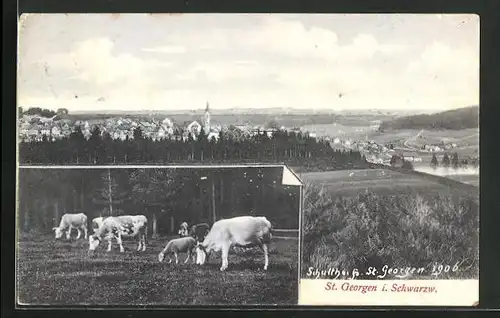 AK St. Georgen i. Schwarzwald, Teilansicht, Weidende Kühe