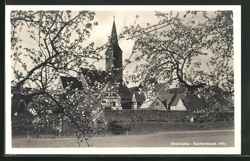 AK Wolframs-Eschenbach /Mfr., Ortspartie mit Kirche