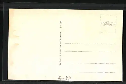 AK München-Nymphenburg, Krankenhaus des Dritten Ordens