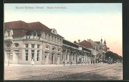 AK Dresden-Weisser Hirsch, Neues Park-Hotel