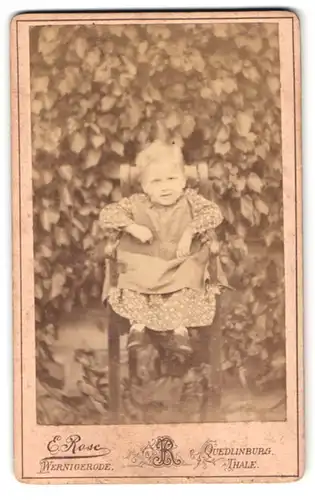 Fotografie E. Rose, Wernigerode, Portrait süsses Mädchen im Hochstuhl im Garten sitzend