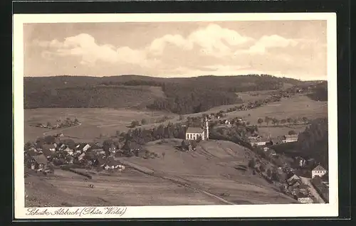 AK Scheibe-Alsbach / Thüringer Wald, Gesamtansicht aus der Vogelschau