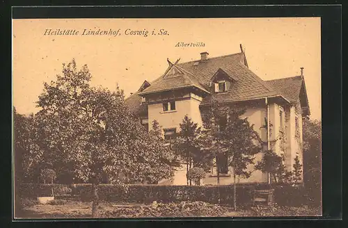 AK Coswig i. Sa., Heilstätte Lindenhof, an der Albertvilla