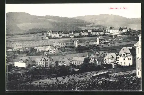 AK Sebnitz i. Sa., Panoramablick auf die Stadt