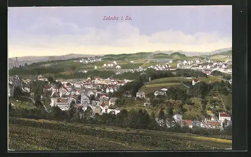 AK Sebnitz i. Sa., Panoramablick von der Bergwiese