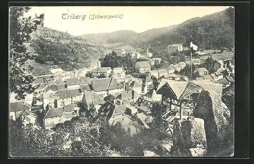 AK Triberg / Schwarzwald, Panoramablick vom Berg