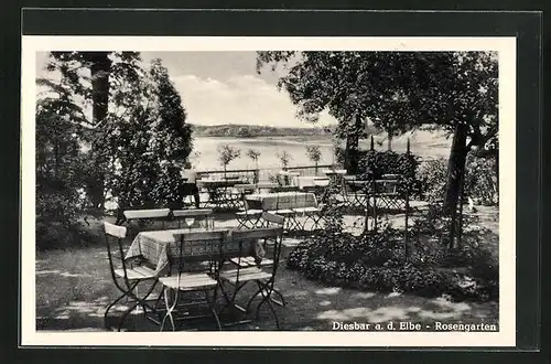 AK Diesbar / Elbe, Blick von der Restaurant-Terrasse Rosengarten