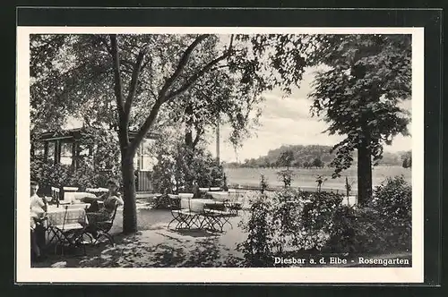 AK Diesbar / Elbe, Rosengarten, Blick von der Restaurant-Terrasse