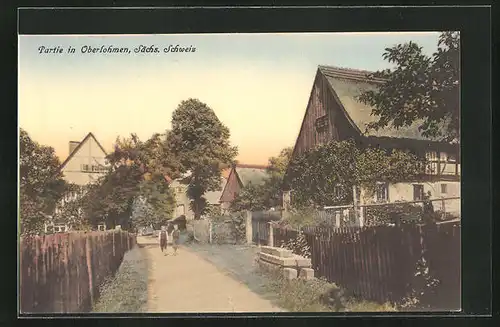 AK Oberlohmen / Sächs. Schweiz, Partie mit alten Häusern