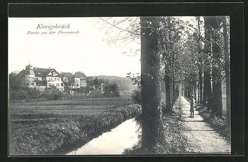AK Königsbrück, Partie an der Promenade