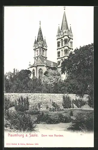 AK Naumburg / Saale, Dom von Norden gesehen