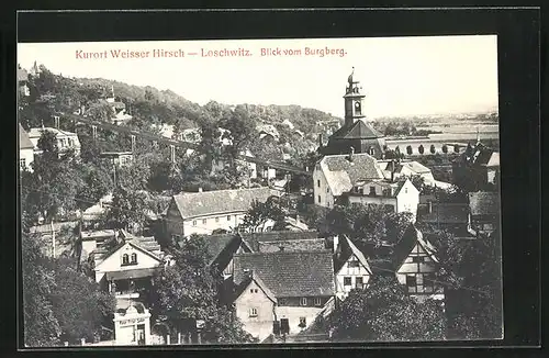 AK Dresden-Loschwitz, Panoramablick vom Burgberg