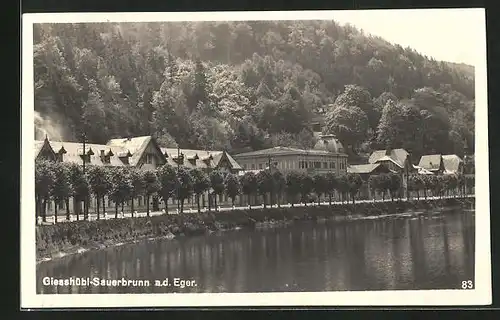 AK Giesshübl-Sauerbrunn a. d. Eger, Fluss mit Uferansicht