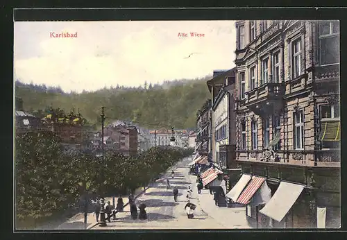 AK Karlsbad, Alte Wiese mit Denkmal