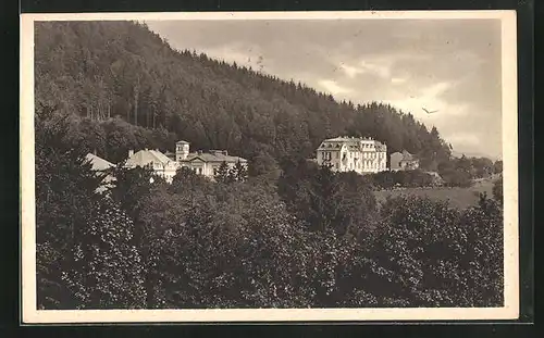 AK Bad Königswart, Blick auf das Kurviertel