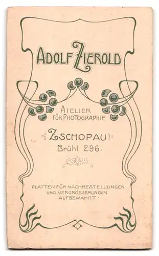 Fotografie Adolf Zierold, Zschopau, Brühl 296, Junge in feinen Kleidern