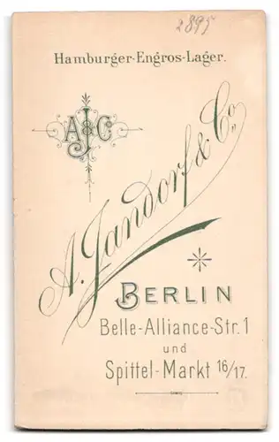 Fotografie A. Jandorf & Co, Berlin, Belle-Alliance-Strasse 1, Bürgerliche Dame im Puffärmelkleid