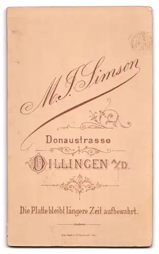 Fotografie M. Simson, Dillingen a. D., Donaustrasse, Mädchen im karierten Kleid