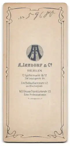 Fotografie A. Jandorf & Co., Berlin, Spittelmarkt 16 /17, Bürgerliche Dame in Rock und Bluse mit Hut