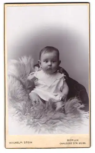 Fotografie Wilhelm Stein, Berlin, Chaussee Strasse 65-66, Portrait süsses Kleinkind im weissen Hemd