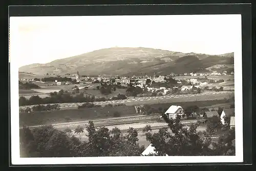 AK Hodkovice n. Mohelkou, Panorama mit Fluss und Berg