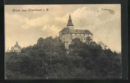 AK Friedland / Frydlant, Schloss von Wald umgeben