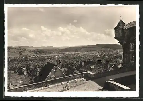 AK Tübingen, Blick vom Schloss gegen die Alb