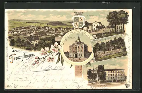 Lithographie Treuchtlingen, Rathaus, Burgruine, Schloss