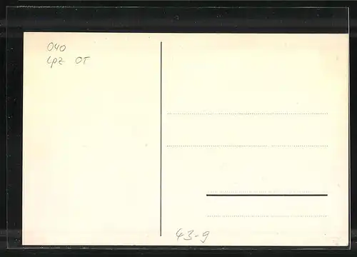 Künstler-AK Leipzig-Liebertwolkwitz, 2. Volksfest 1937, Silhouette vom Schloss und Wasserturm