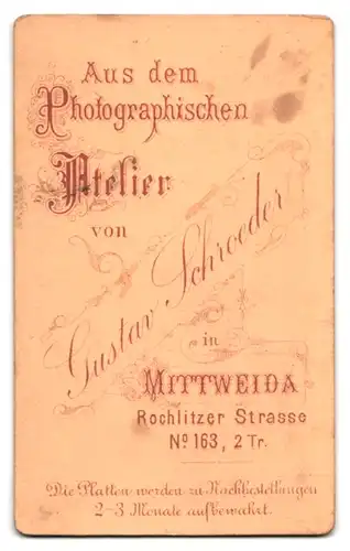 Fotografie Gustav Schroeder, Mittweida, Rochlitzer Str. 163, Portrait Dame im dunklen Biedermeierkleid mit Zopf