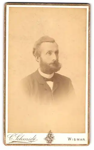 Fotografie C. Schmidt, Wismar, Portrait modisch gekleideter Herr mit Backenbart