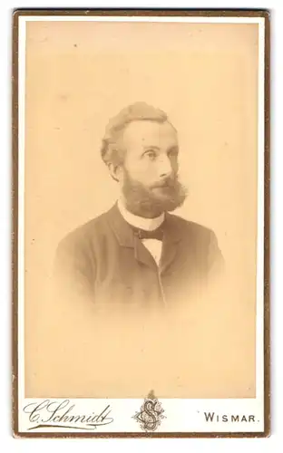 Fotografie C. Schmidt, Wismar, Portrait modisch gekleideter Herr mit Backenbart
