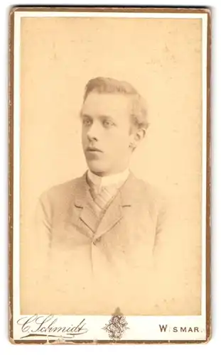 Fotografie C. Schmidt, Wismar, Portrait junger Herr im Anzug mit Krawatte
