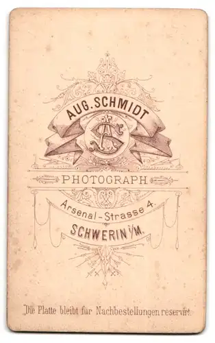 Fotografie Aug. Schmidt, Schwerin i /M., Arsenal-Strasse 4, Brustportrait junger Herr im Anzug mit Fliege