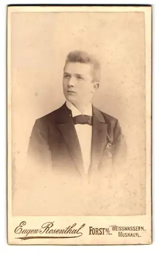 Fotografie Eugen Rosenthal, Forst /N.-L., Mühlenstrasse 36, Portrait junger Herr im Anzug mit Krawatte