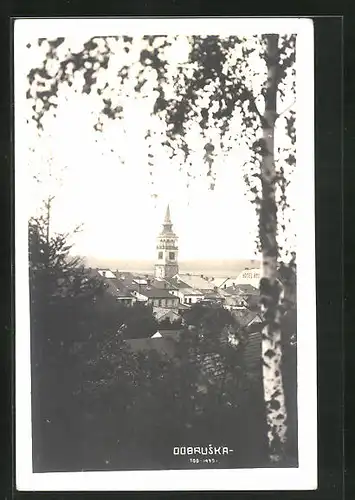 AK Dobruska, Teilansicht mit Kirche und Hotel