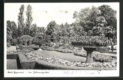 AK Bad Pyrmont, Im Palmengarten