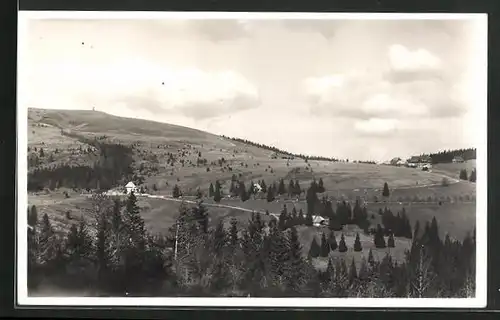 AK Seebuck, Blick auf Menzenschwanderhütte und Feldbergerhof