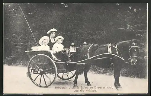 AK Victoria Louise Herzogin von Braunschweig und die Prinzen