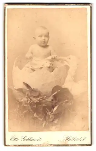 Fotografie Otto Gebhardt, Halle a /S., Poststrasse 9 u. 10, Portrait halbnacktes Kleinkind sitzt im Ei