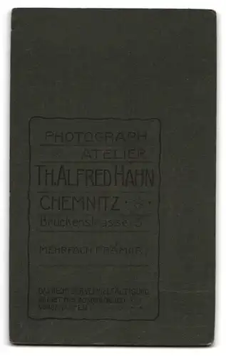 Fotografie Th. Alfred Hahn, Chemnitz, Brückenstrasse 5, Portrait süsses Kleinkind im weissen Hemd