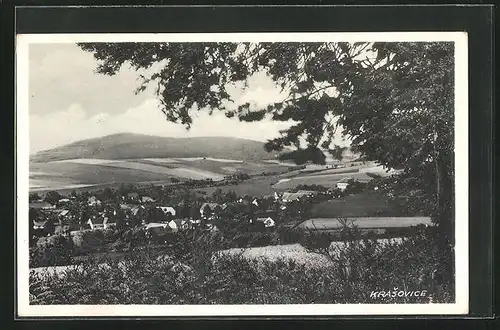 AK Krasovice, Panorama