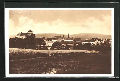 AK Rozmital pod Tremsinem, Panorama