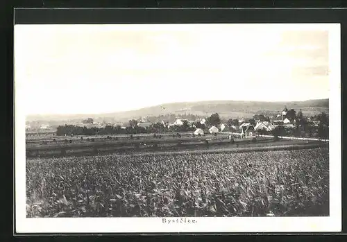 AK Bystrice, Panorama